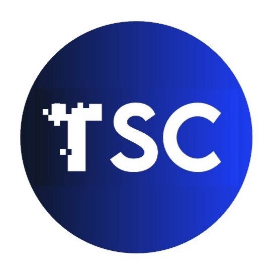 مؤسسة النظام التقني لتقنية المعلومات