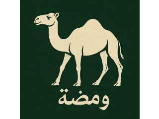 تطبيق سوشل ميديا (ومضة)
